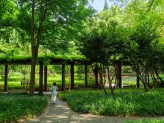 -徐家汇源景区-衡山公园