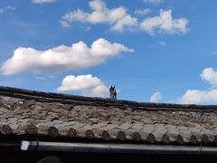 -田德能咖啡博物馆