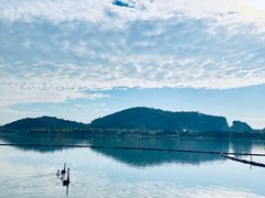 -西山漾湿地公园