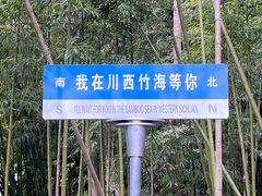-川西竹海景区