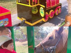 -北京鹿世界主题园