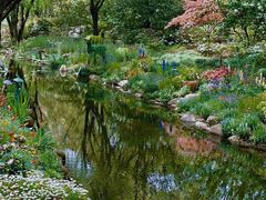 -上海共青森林公园