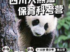 -听雨小筑茶舍(观音桥·龙湖新壹街店)