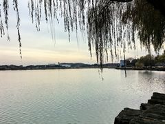 -同里湖大饭店-怡景轩中餐厅(同里古镇店)