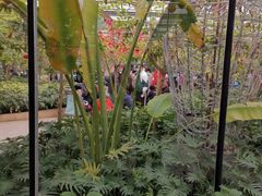 -南宫五洲植物乐园