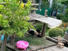 -大连森林动物园