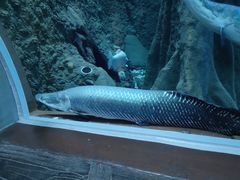 -成都浩海立方海洋公园