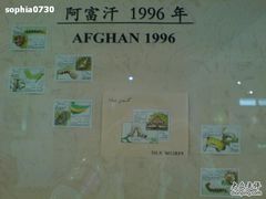 -上海昆虫博物馆