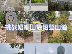 -梧桐山风景名胜区