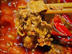 -阳阳老火锅(小南门店)