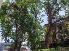 -前王院•巧克力海鲜市集餐厅(万平口店)