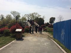 -桃花岛景观公园