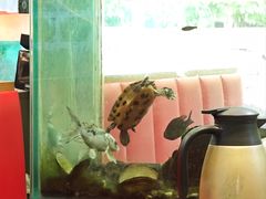 -水边人家·鱼宴餐厅·淳鱼馆(千岛湖店)