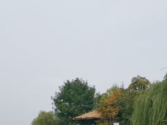 -金沙湖旅游度假区