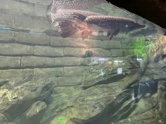 -梦幻海洋王国(吾悦广场张家港店)