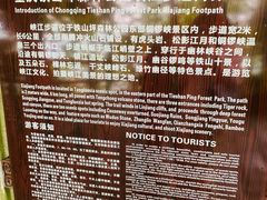 -铁山坪森林公园