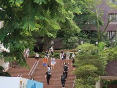 -香港大学