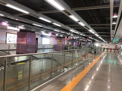 -向西村(地铁站)