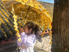 -金堂县云顶石城风景区