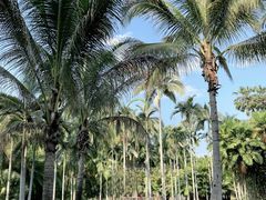 -中国科学院西双版纳热带植物园
