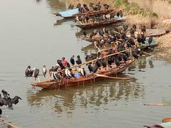 -盐城丹顶鹤湿地生态旅游区