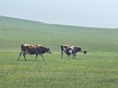 -莫日格勒旅游景区