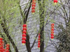 -重庆园博园