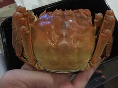 -阳澄湖大闸蟹·琼灵阁牌品牌连锁(吴中总店)