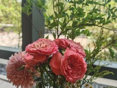 -美盛喜来登大酒店喜舍茶馆