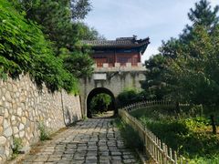 -云岗森林公园