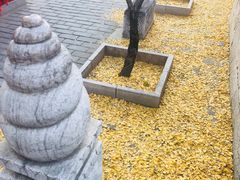 -红螺寺
