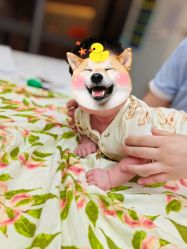 -禧月荟S月子中心(侨城店)