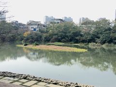 -金山公园