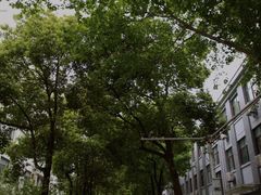 -南京航空航天大学(明故宫校区)