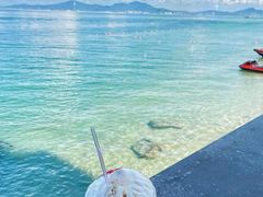 -广东惠东海龟国家级自然保护区