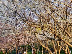 -白塘生态植物园