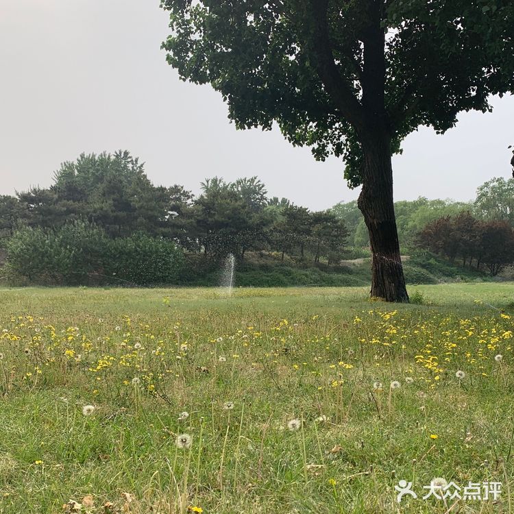 圆明圆-最美的后花园🥀🥀🥀