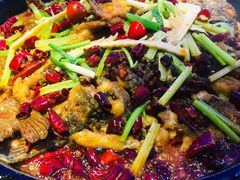 -老板恋上鱼(恒隆广场店)