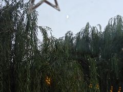 -食悦江南·淮扬菜·烤鸭(亚运村·惠新店)