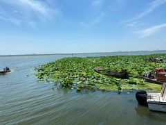 -渔娘蟹庄(阳澄湖莲花岛店)