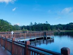 -海南热带雨林国家公园吊罗山景区