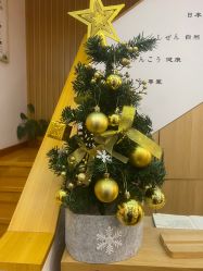 -宥莉·ULLY 痘敏肌•科技皮肤管理中心