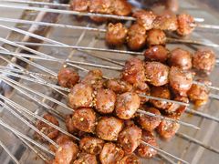 小红腰-迎燕阁烤羊腿(二环南路店)