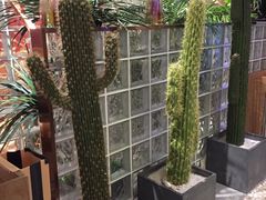-悦海·家宴·冰花皮皮虾大锅贴(宝龙店)