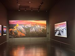 -罗红摄影艺术馆