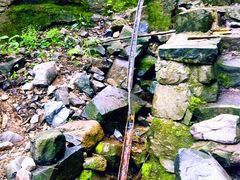 -藏龙百瀑风景区