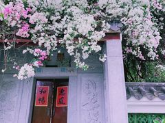 -深圳国际园林花卉博览园