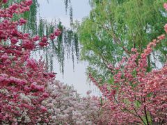 -莲花池公园