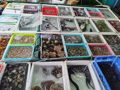 水产区-霞涌市场海鲜摆卖区