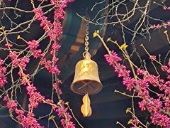 -西安市广仁寺